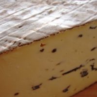 Montagnolo