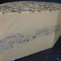 Sage Derby
